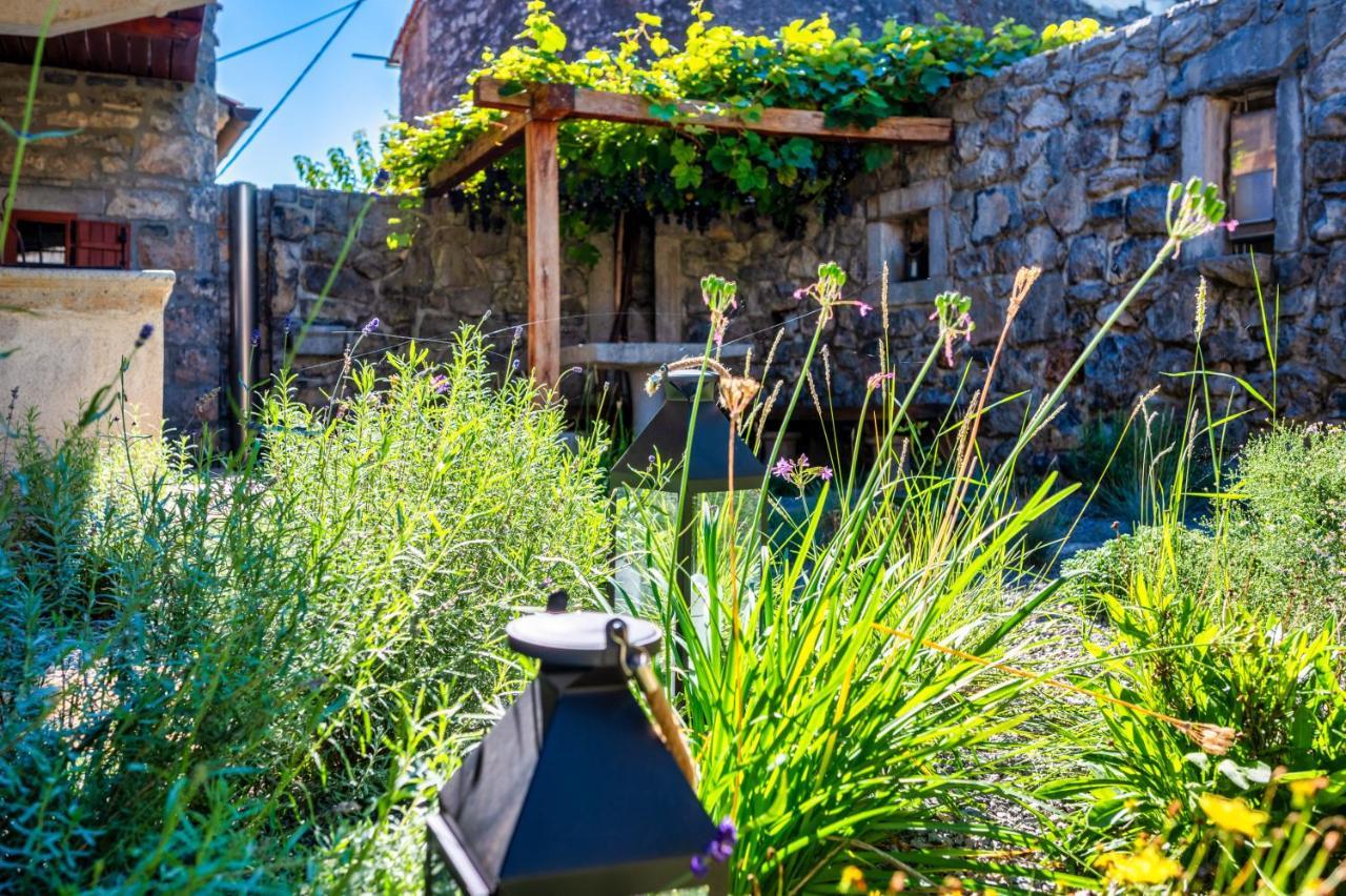 הוילה Dutovlje Karst House Zan Pliskovica With Private Pool מראה חיצוני תמונה